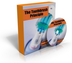 Toothbrush Principle 3D cover.jpg